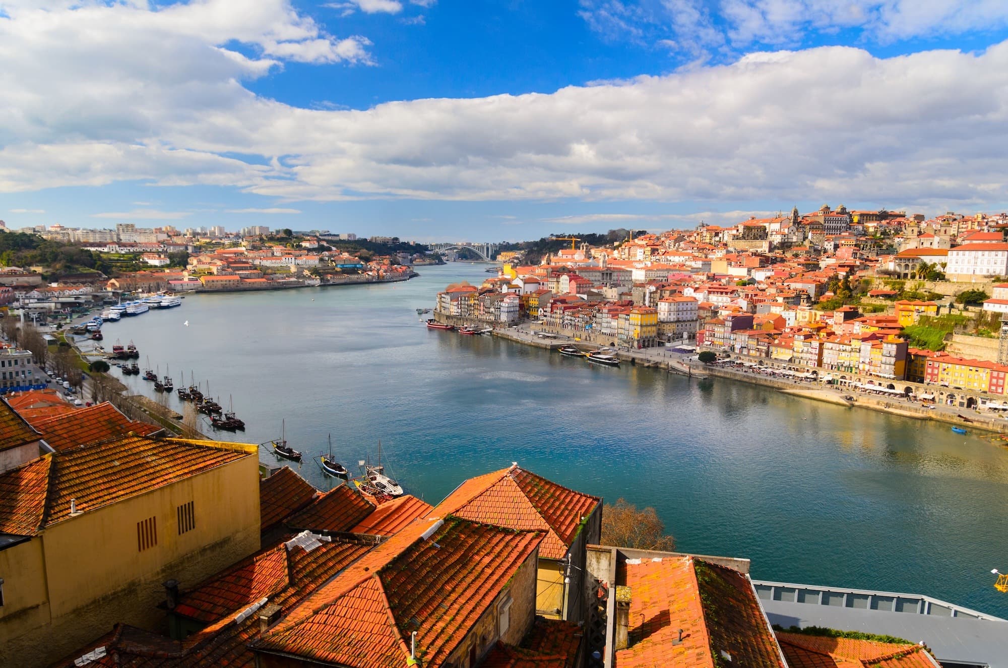 Sofia Rodrigues Alves - Real Estate Agent in Porto