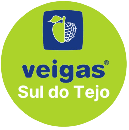Real Estate Agent in Moita: Veigas Sul do Tejo